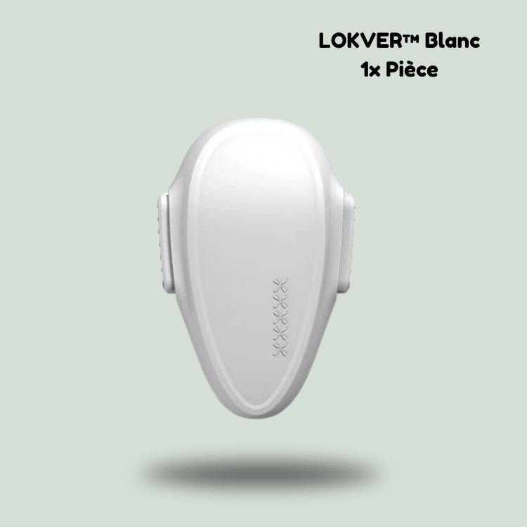 Serrure de porte de four | Lokver™