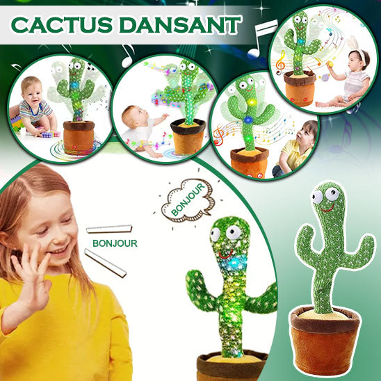 Cactus dansant | Cacti™